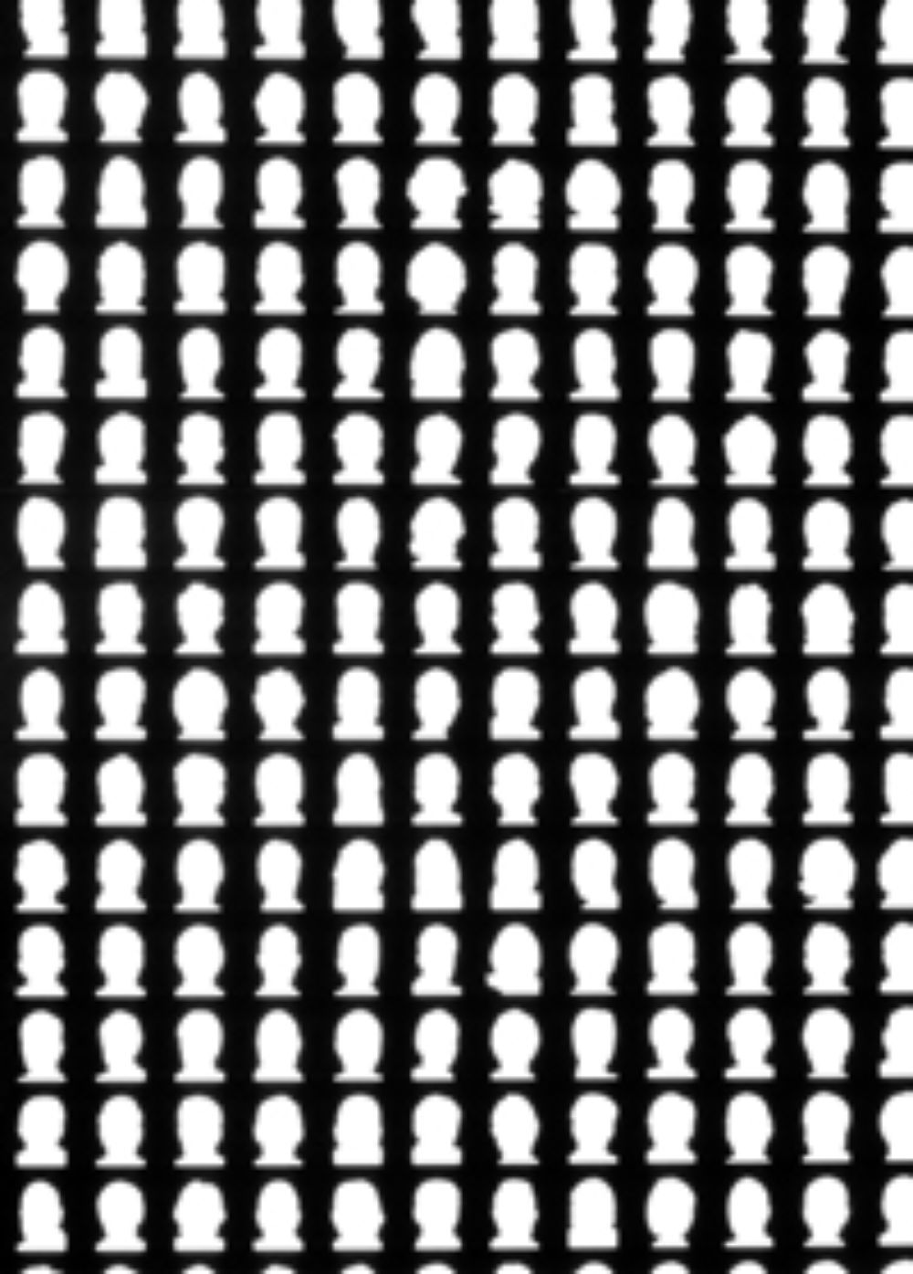 "Rodrigo siempre me ha sorprendido por la precisión y el ojo para resolver, pero más significativamente, comprender y extender el sentido de las obras" dijo Miguel Ruiz.