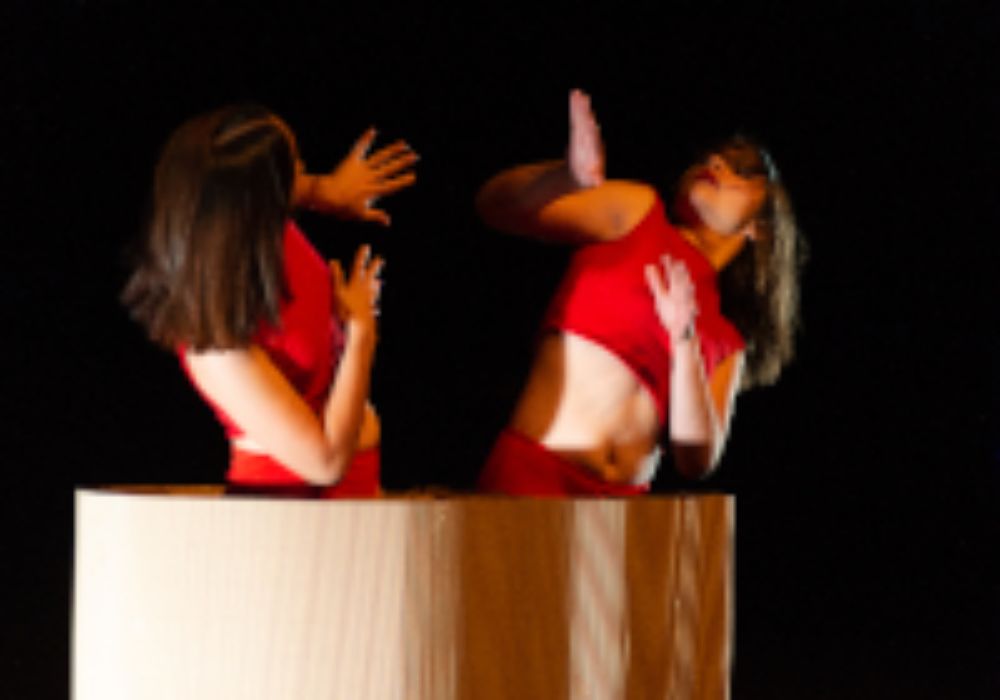 Esta propuesta coreográfica se enmarca en la asignatura Laboratorio de Composición II.