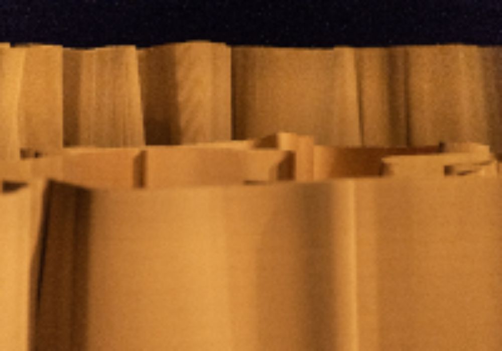 "Es posible entonces que el cuerpo pueda entrar en relación no sólo con otro cuerpo, sino también con un objeto", explicó la prof. Luz Condeza.