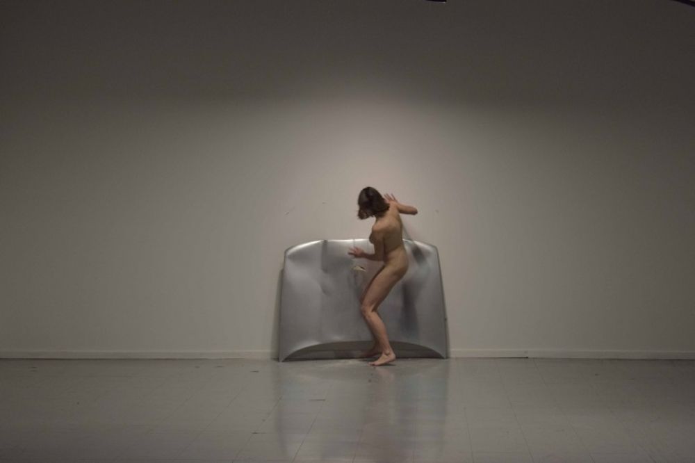 Siete egresados del DAV, inauguraron en la Galería Metropolitana la exposición "La grasa de las capitales" (imagen, obra de Catalina Rozas)