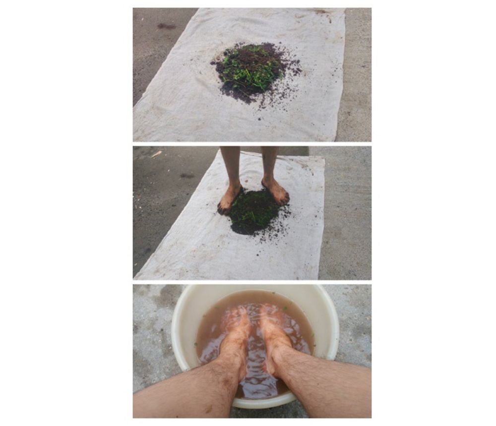 "Cohabitar: procesos continuos en cuerpo, naturaleza y paisaje" exposción de Eduardo Filun Matus.