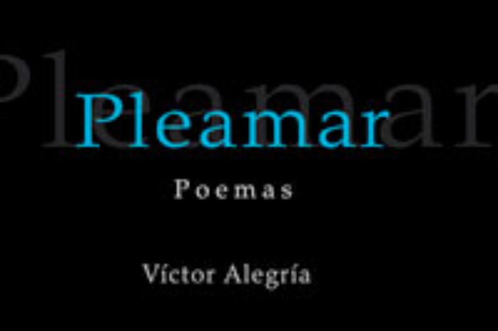 El poemario contiene 51 poemas breves, en verso libre, divididos en tres partes, y cuya voz poética presenta un marcado acento contemplativo a través del paisaje y lo cotidiano.