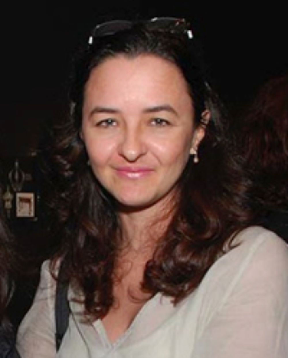 Dra. Eliane Dias, postdoctorada en Historia del Arte por la Universidad Federal de Sao Paulo, dictará el seminario "La imagen de la naturaleza en la Academia. El caso brasileño" .