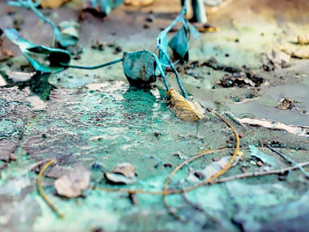 Obra de Patricio González. 