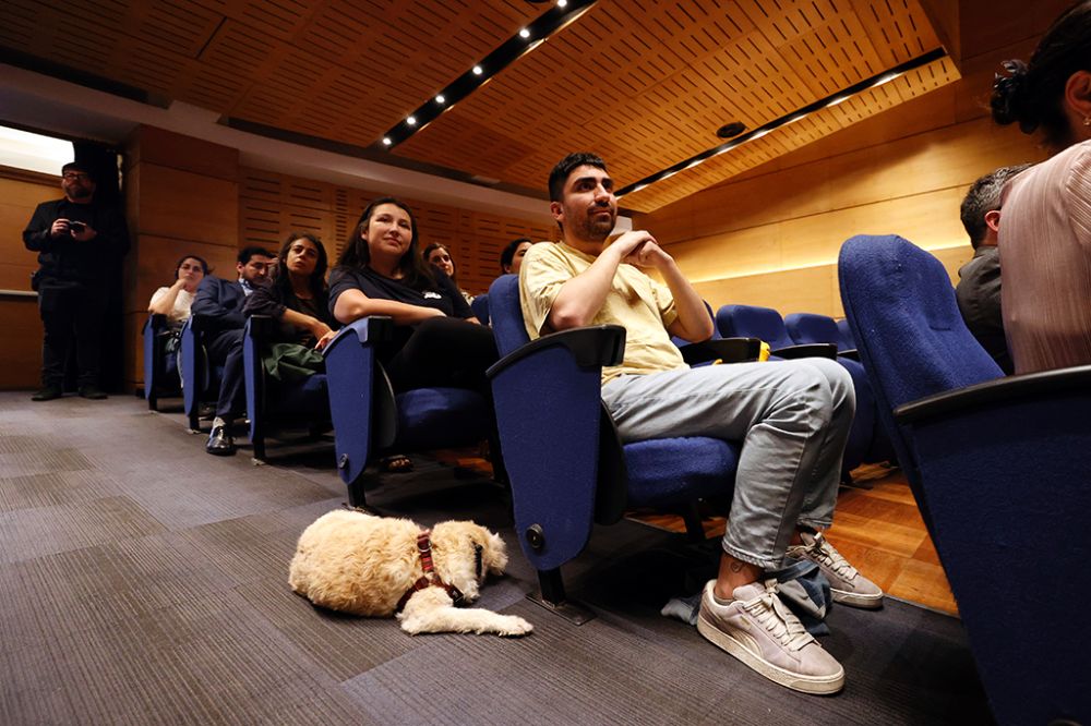 "Los humanos solemos pensar que el lenguaje es únicamente una capacidad humana, y que consiste solo en hablar con palabras", indicó Meijer.