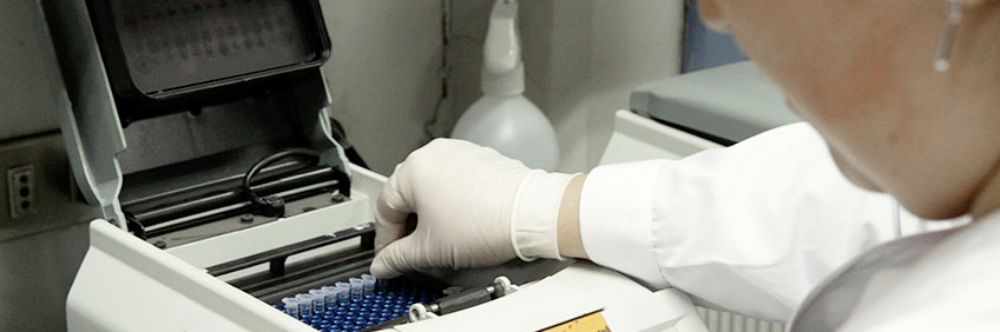 Biología con mención en Medio Ambiente