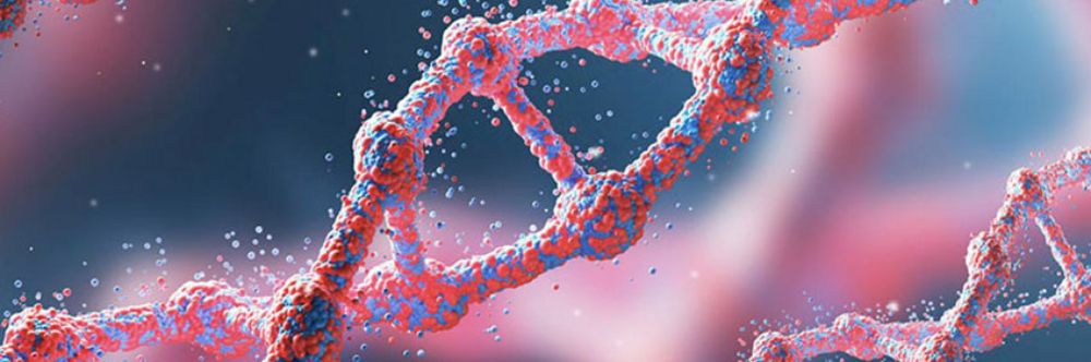 Licenciatura en Ciencias con mención en Biología