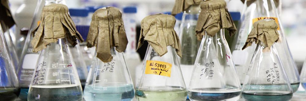 Licenciatura en Ciencias con mención en Química