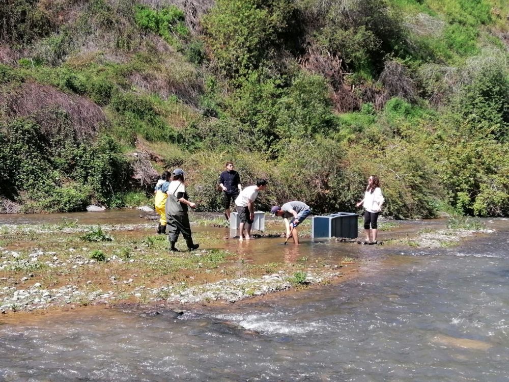 Mediciones en el estero El Arrayán 