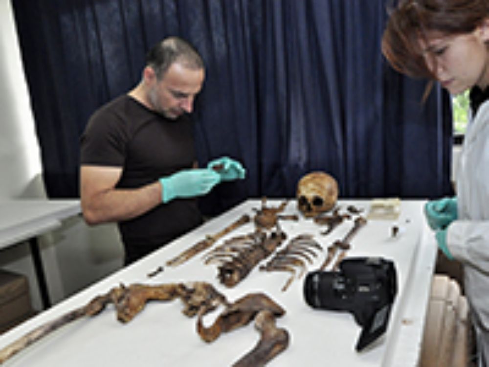 Desde el año 2008, la Facultad ha experimentado un aumento en la producción interdisciplinaria, vinculándose "al inicio de la Iniciativa Bicentenario JGM", según la Dirección Investigación. 