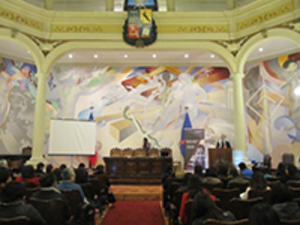 De acuerdo a los resultados, al interior del hogar, el 22 por ciento de los encuestados reportó sufrir maltrato psicoemocional, mientras que el 41,4 por ciento sufrió algún tipo de maltrato físico.