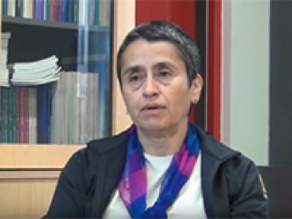 Vilma Mesa es licenciada en Matemáticas de la Universidad de Los Andes (Bogotá, Colombia), máster y Ph.D. en Matemáticas y Educación de la Universidad de Georgia (Estados Unidos).
