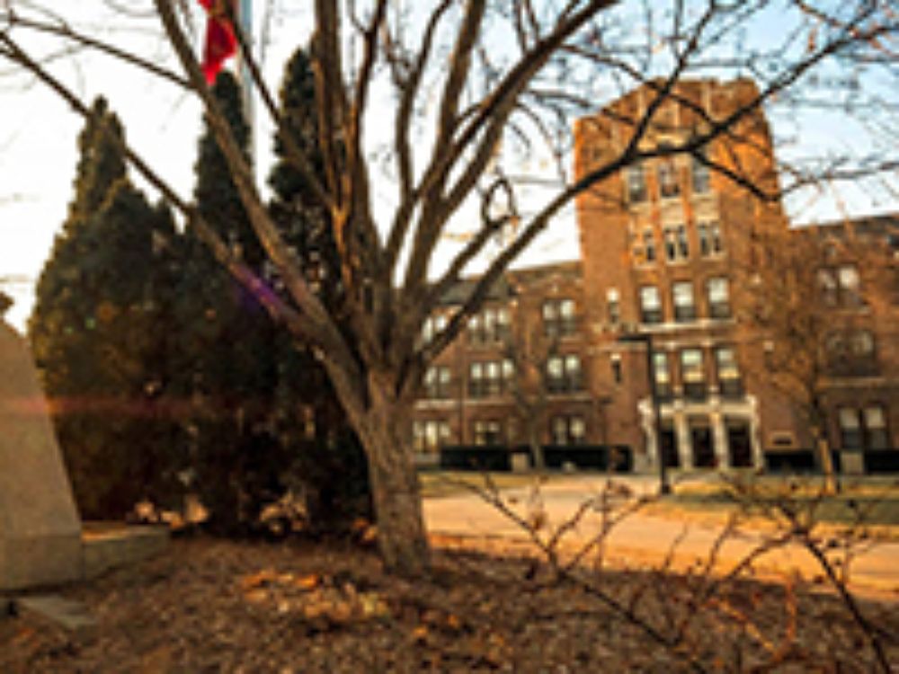 Su aplicación en la educación superior ha sido estudiada por la académica de la Universidad de Michigan, Vilma Mesa, además de las razones de por qué varios estudiantes reprueban cursos científicos.