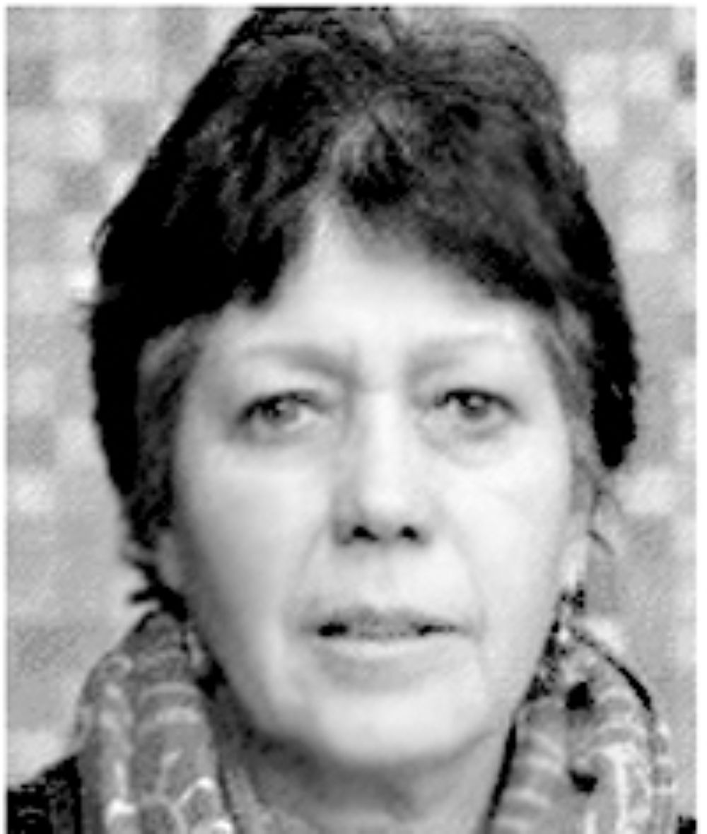 Académica Viviana Fernández