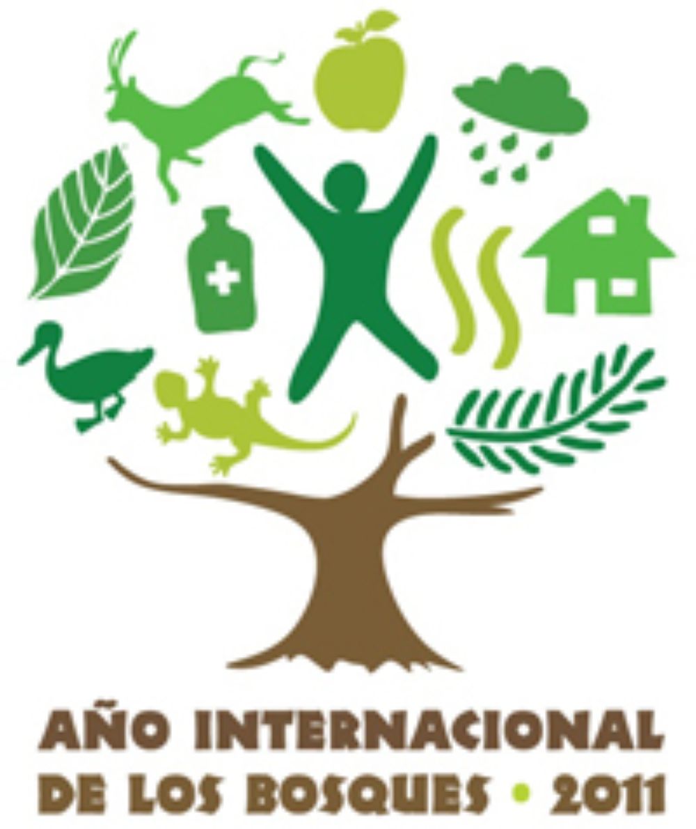 Año Internacionales de los Bosques 2011