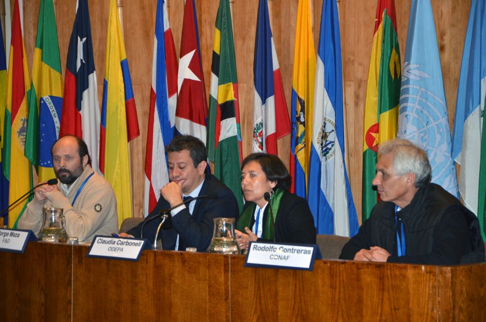 Las opiniones serán sistematizadas y presentadas al plenario del Consejo de Política Forestal.