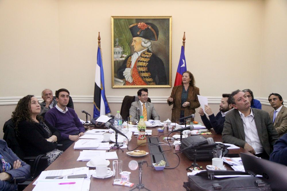 La Profesora Rose Marie Garay explicó la metodología que se implementará para la obtención de datos que permitan generar -entre otros productos- una evaluación de la infraestructura crítica.