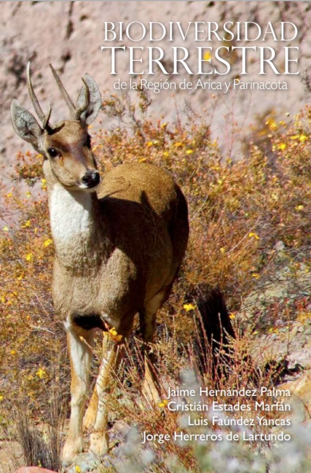 Biodiversidad terrestre de la región de Arica y Parinacota
