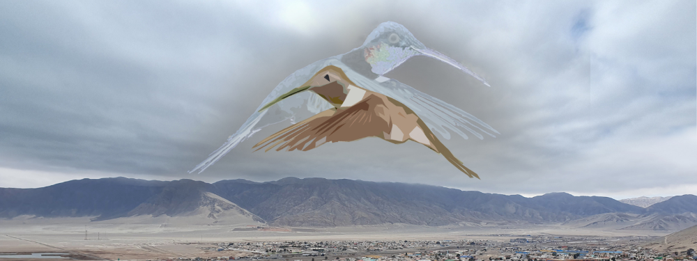 "Creo que cruzar las artes con la ciencia se transforma en una manera muy potente de comunicar nuestros resultados científicos", dijo sobre la obra el académico del DGF e investigador del CR2, Roberto Rondanelli.