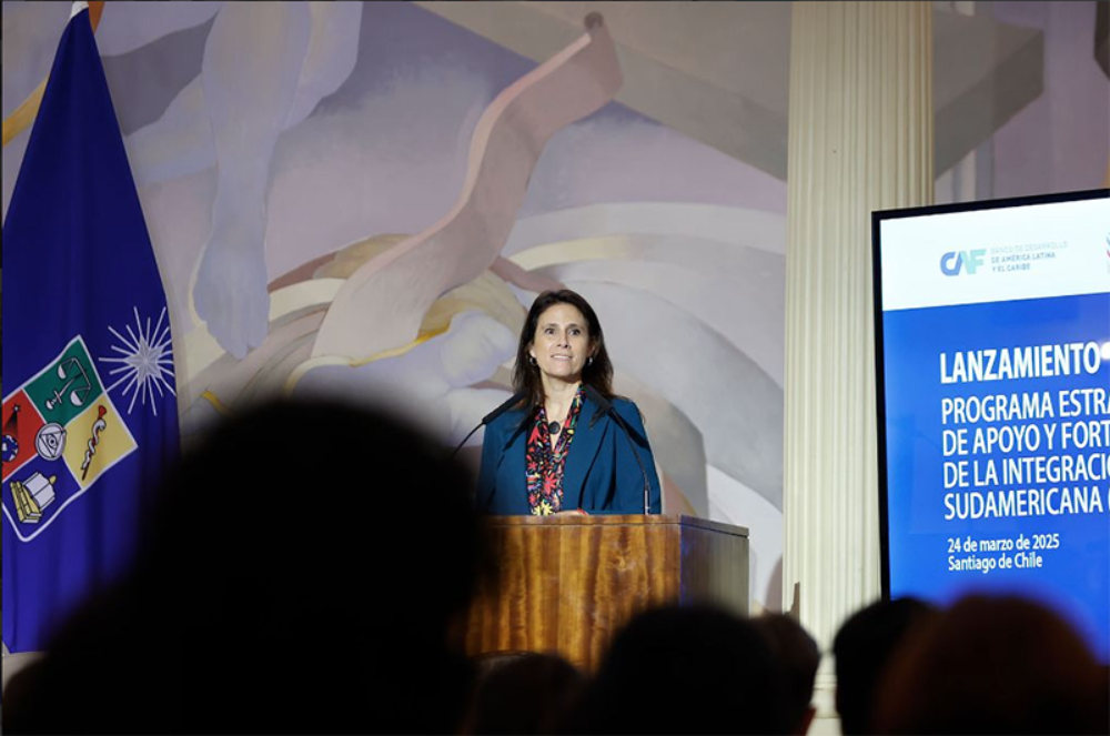 La directora del Instituto de Estudios Internacionales, Dorotea López, dijo que el programa SUR, "surge como un puente entre los diferentes actores e instituciones involucradas en este desafío, para generar estrategias de cooperación y vinculación desde tres ejes que hemos definido como los más importantes que son la formación, la investigación aplicada y la promoción de políticas de cooperación e integración".