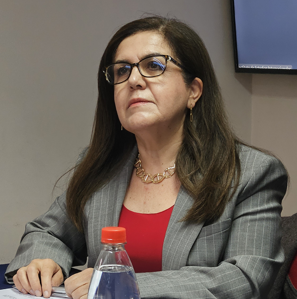 Con la charla magistral de la Directora General de Asuntos Económicos Multilaterales, (SUBREI), Marcela Otero, se dio inicio al encuentro.