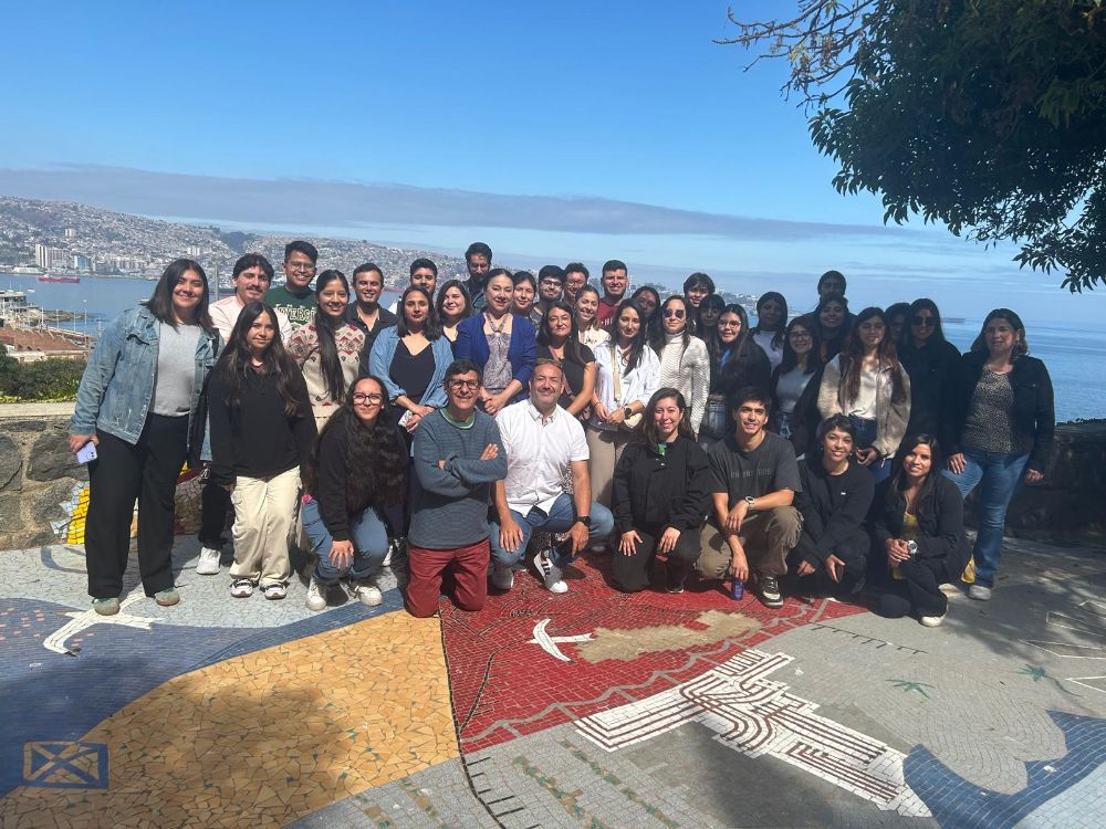 "Cultivo celular 3D: teoría y práctica"