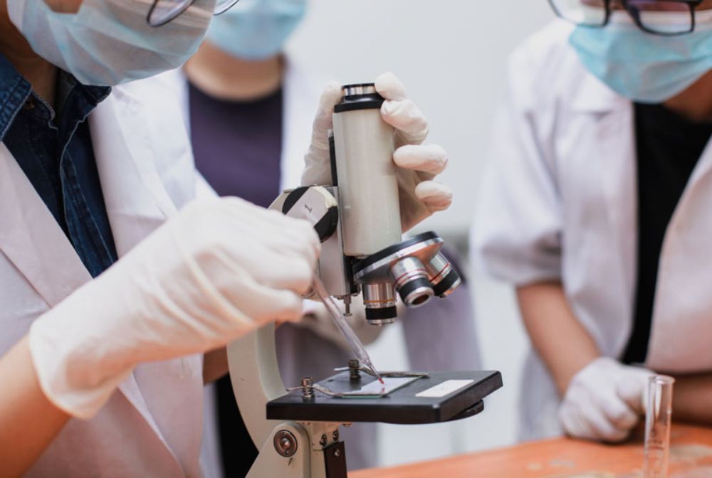 U. de Chile apoya 4 proyectos INTA para la colaboración internacional