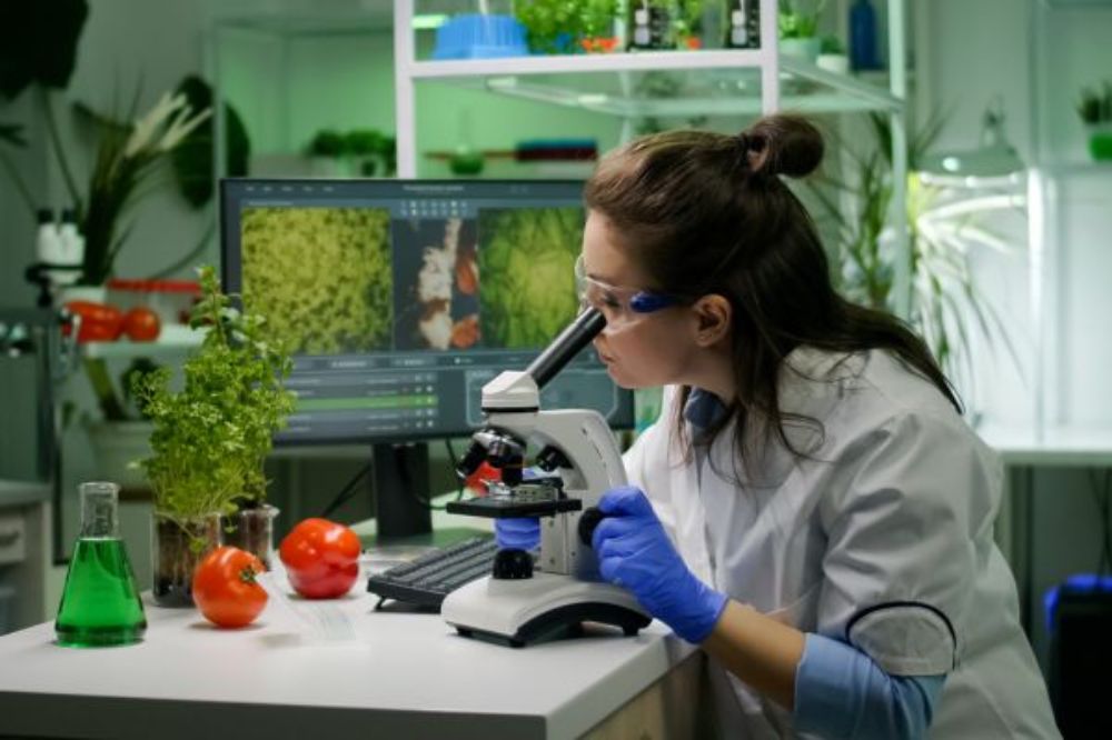 Investigación en laboratorio