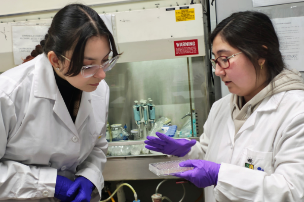 Jornada Magister 2025