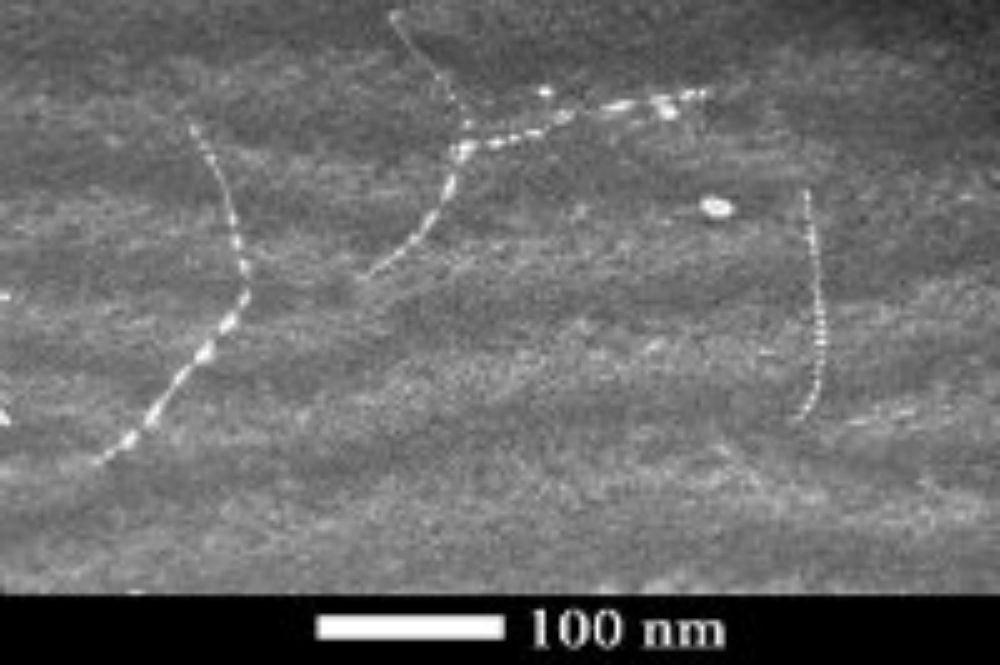 "Estamos convencidos que es un trabajo importante, demostramos que es posible medir en tiempo real cuando un material es deformado", afirma Mujica.