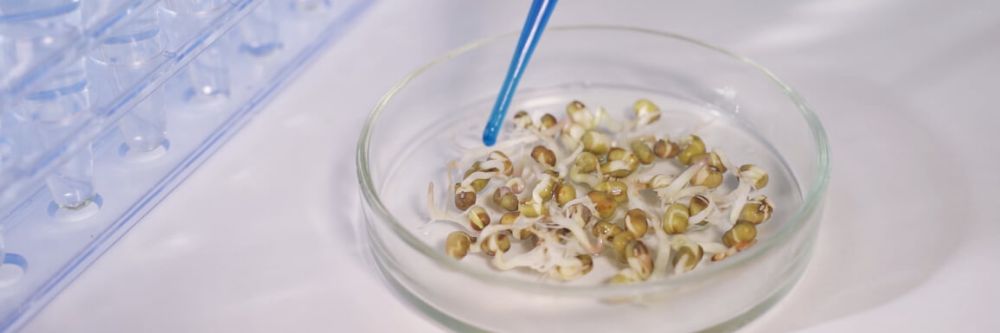 Ingeniería Civil en Biotecnología