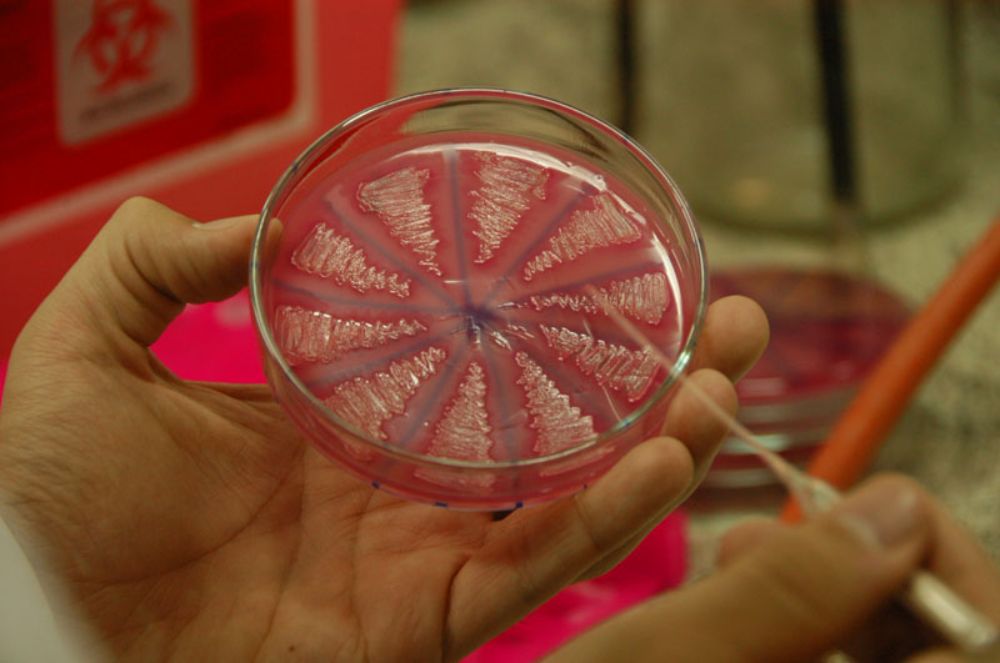 Organizaciones y sociedades científicas 