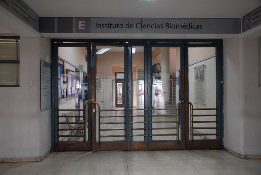 Instituto de Ciencias Biomédicas