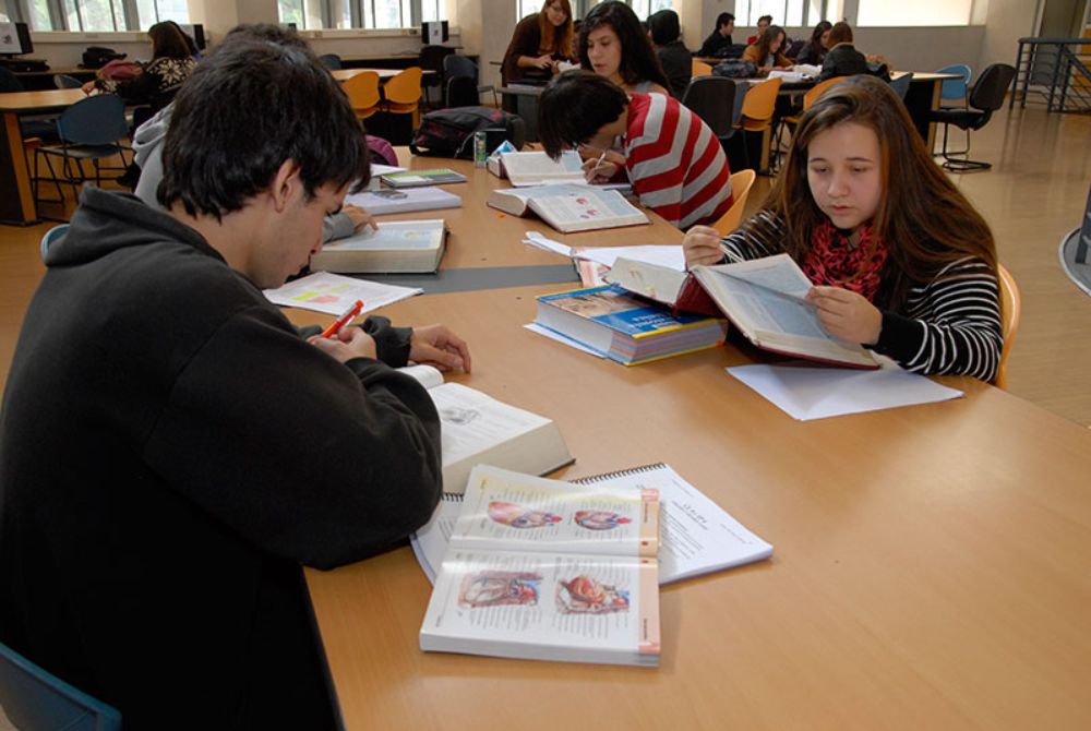 Unidad de Apoyo Psicológico