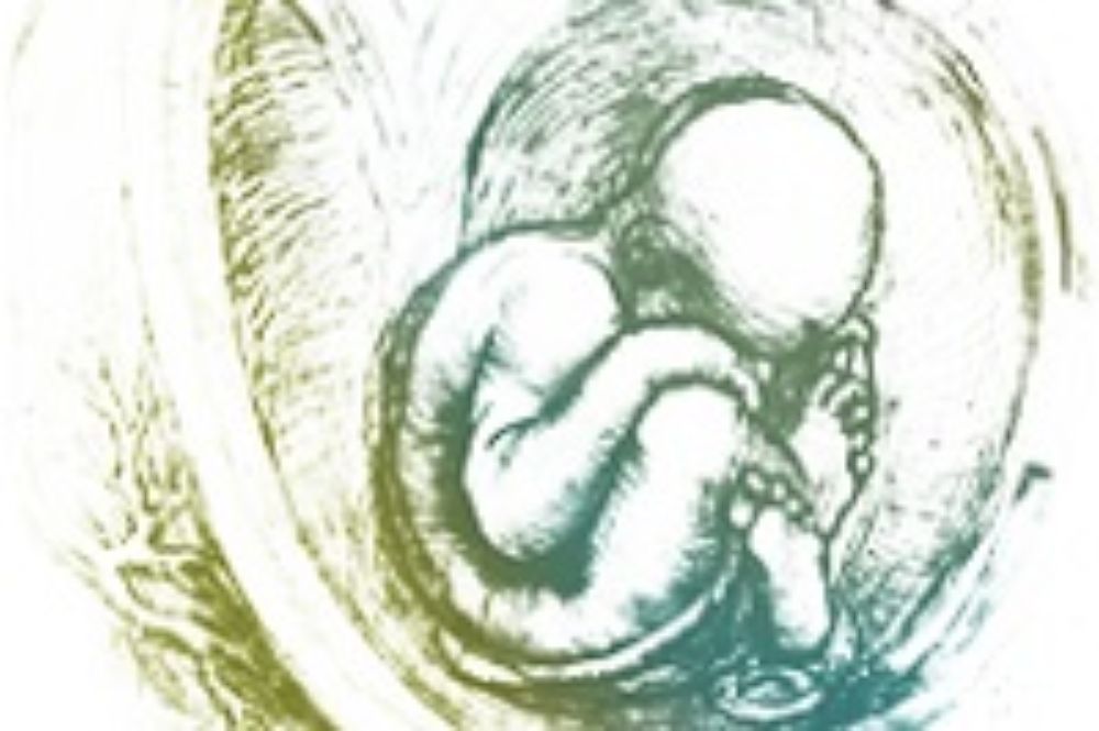 Programa de Anatomía y Biología del Desarrollo