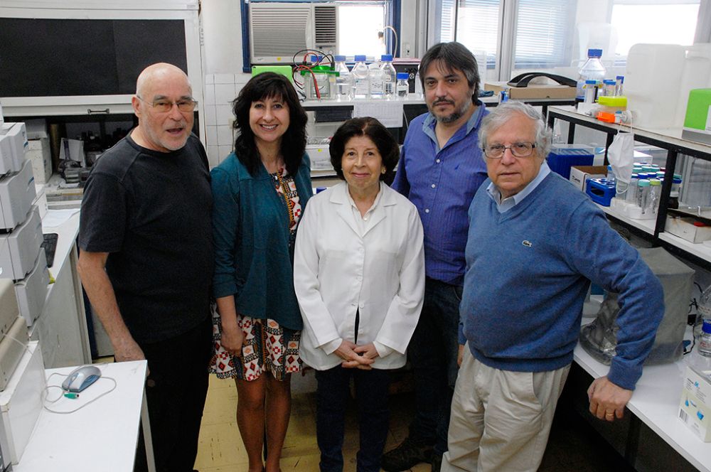 El equipo investigador