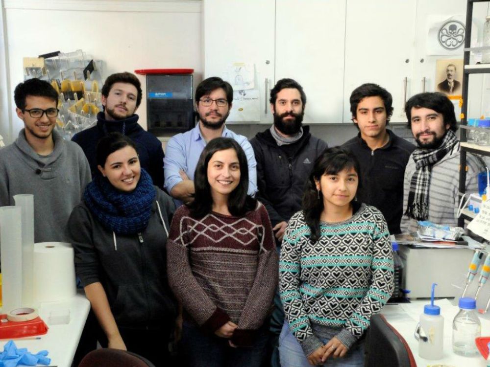 Lab.de Enf. Mediadas por Canales Iónicos: Antonio Podlech, Ismael Aldunate, dr. Óscar Cerda, Aníbal Romero, Pablo Aguirre y José Rivas. Abajo, Ana Sampaio, dra. Jimena Canales y Constanza Blanco