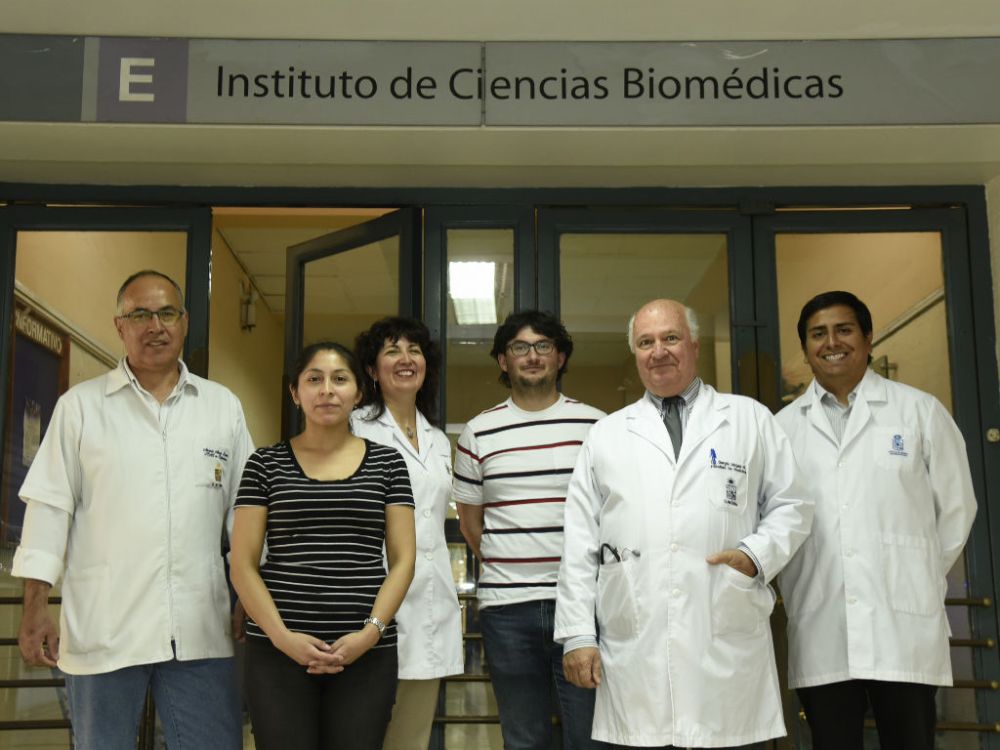 Antonio Alzola, Andrea Méndez, Carolina Ponce, doctores Diego Rojas y Sergio Vargas, y Pablo Iturra, integrantes del equipo que sigue esta línea de investigación. 