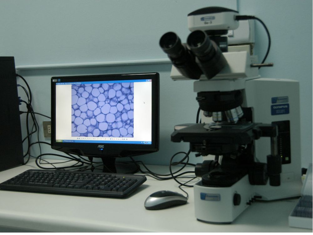 La Facultad de Medicina aprobó 13 proyectos en el Concurso Regular Fondecyt 2019