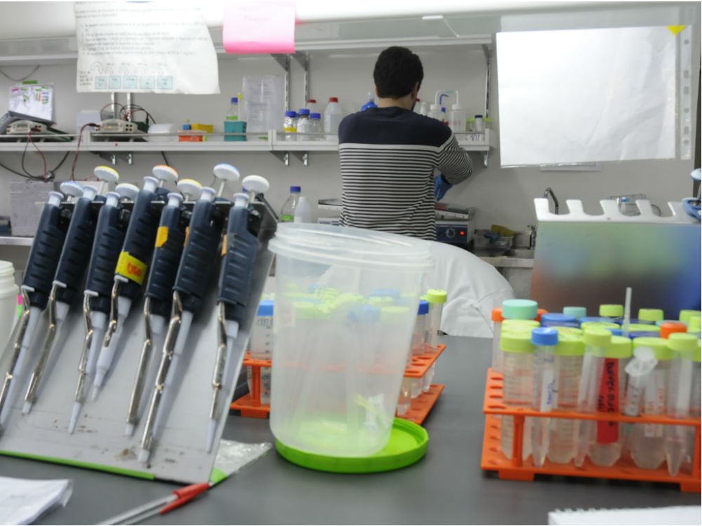 Siete fueron los proyectos adjudicados en la reciente convocatoria.