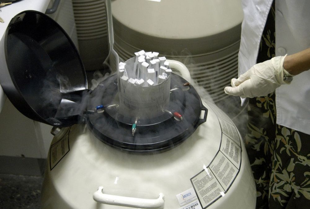 En el IDIMI cuentan con la tecnología y el conocimiento para hacer investigación y asistencia en reproducción asistida y en endocrinología infantil. 