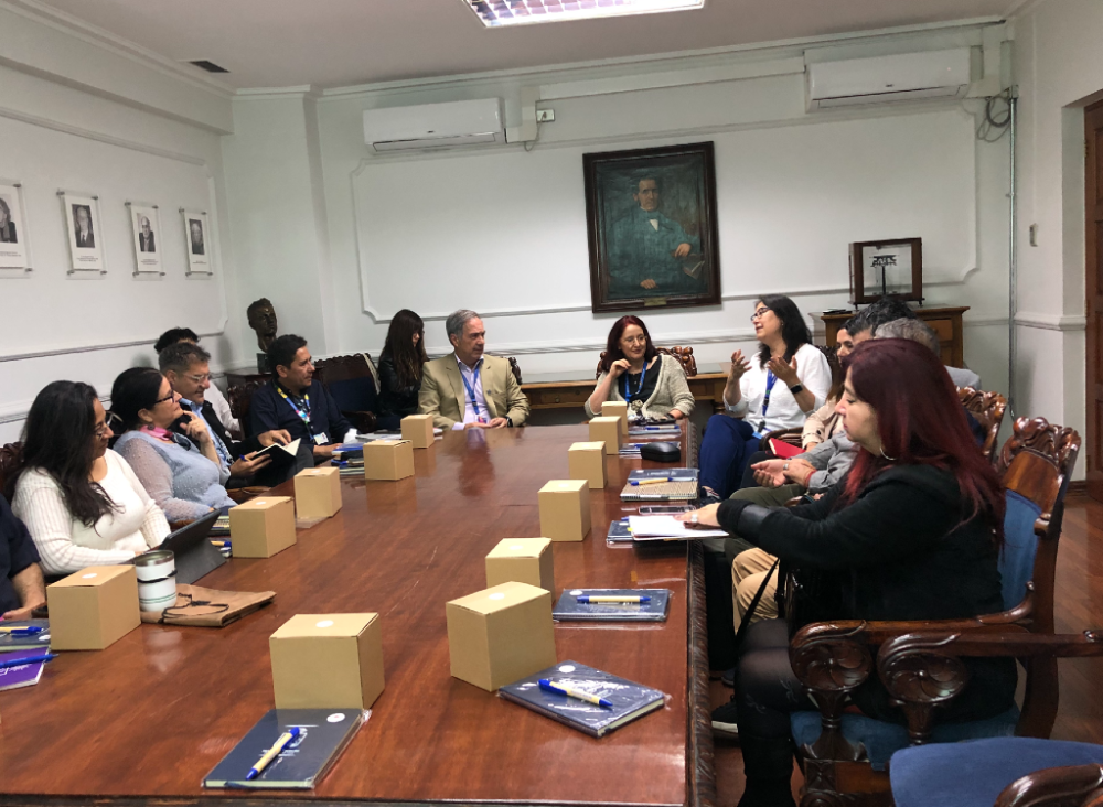 La profesora Olga Toro, secretaria ejecutiva de la Comisión PDI, dio a conocer los objetivos y metodología de trabajo de este equipo. 