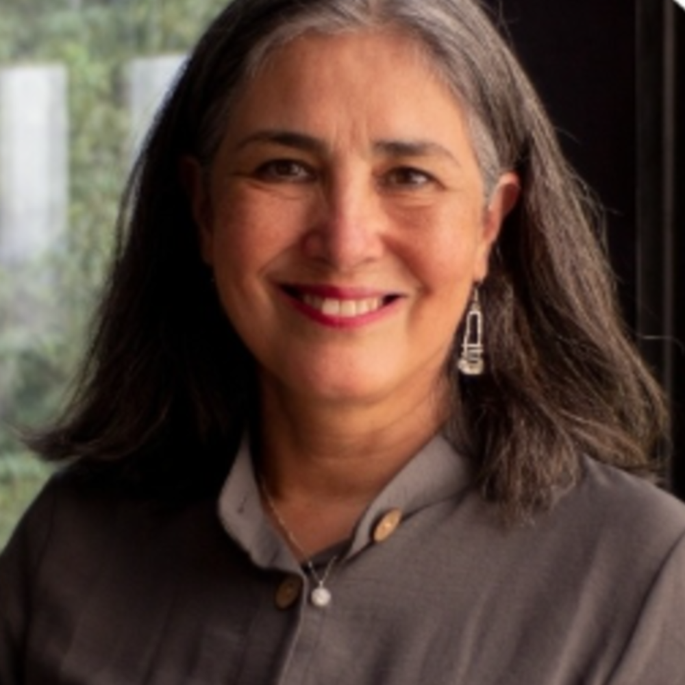 Dra. Jimena Sierralta, directora del Departamento de Neurociencia