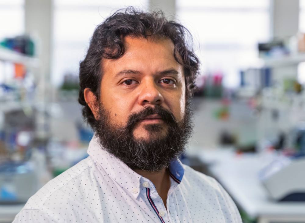 Doctor Fernando Valiente