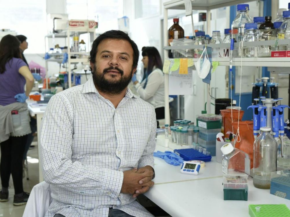 Dr. Fernando Valiente Echeverría