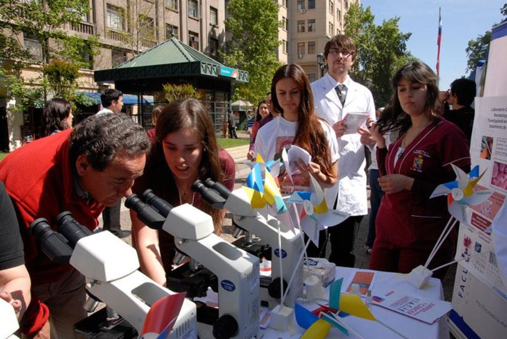 En la presente versión participaron 15 proyectos, de los cuales cinco lograron los mayores puntajes.