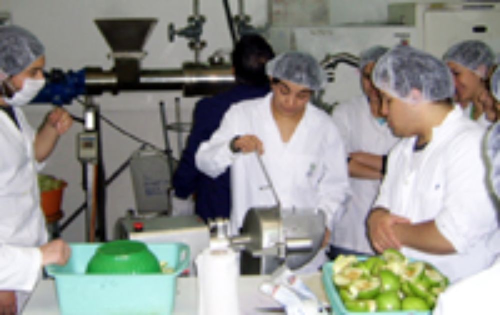 Ingeniería en Alimentos