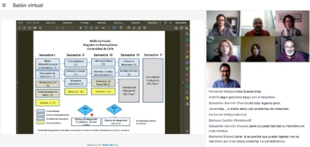 Inicio del año académico en el Magíster en Bioestadística, marzo 2021 formato online.