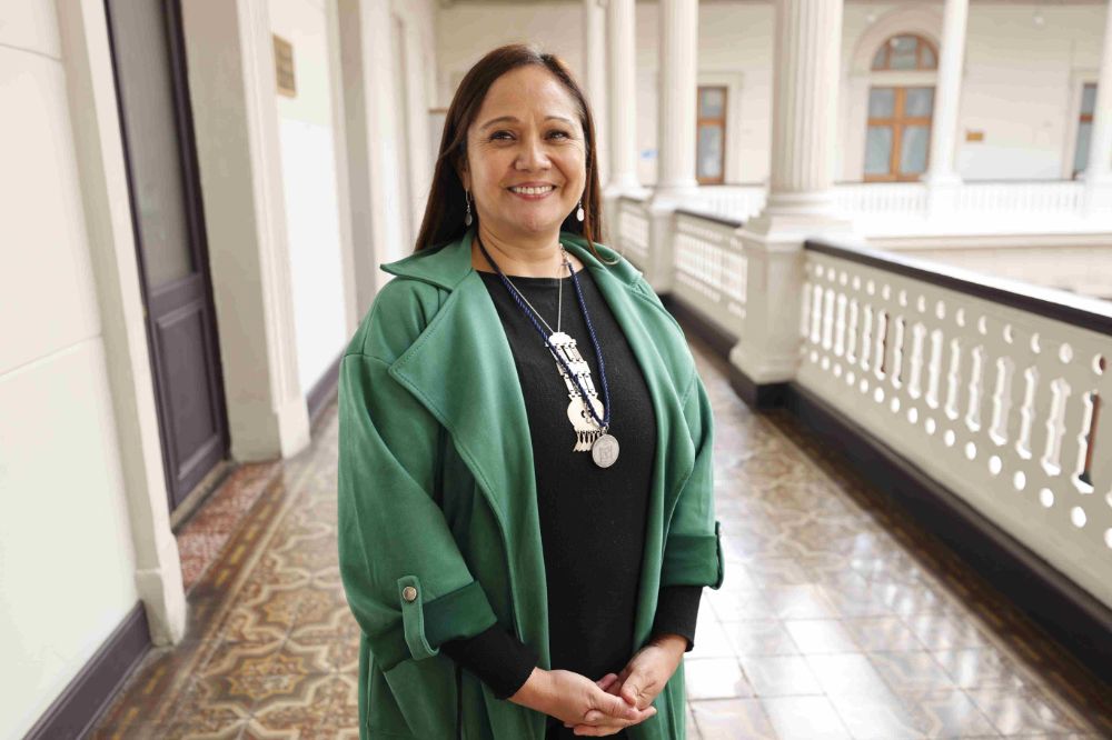 La profesora Verónica Figueroa, presidenta del Consejo de Evaluación.