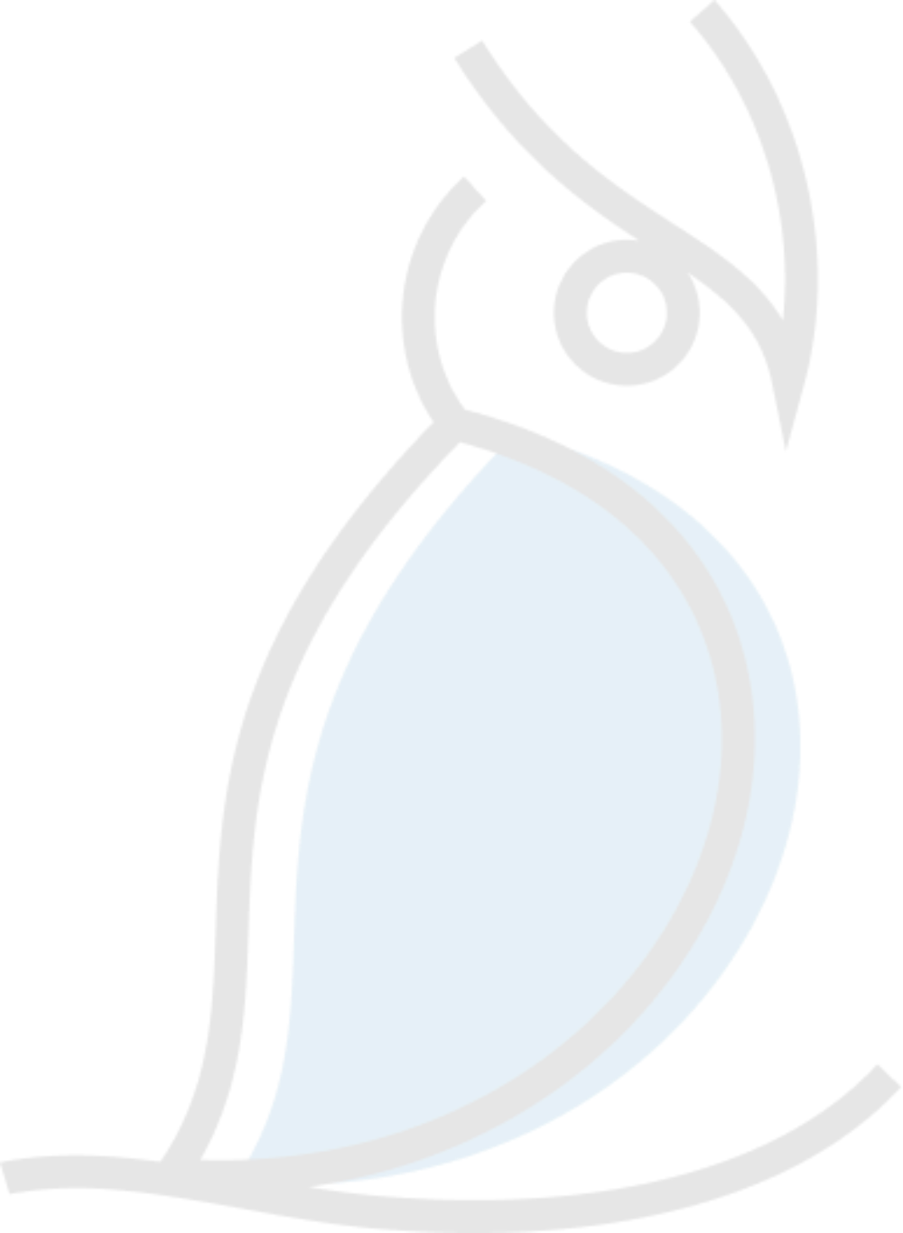 Consejo de evaluación